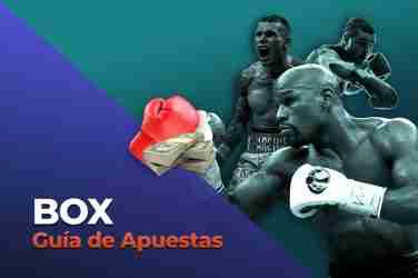 Cómo apostar en boxeo, la guía completa